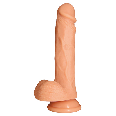 聖華女学院公認竿おじさんの竿